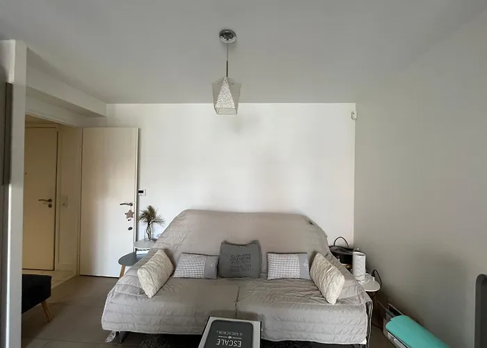 Centre : T2 Avec Parking, Loggia Et Proche - Fr-1-319-566